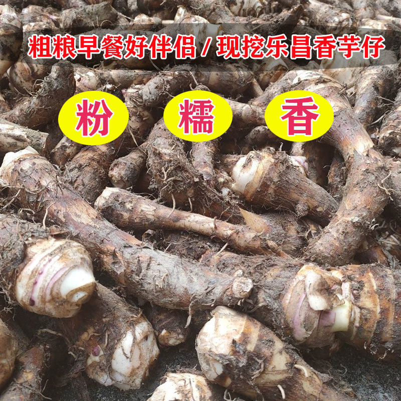 广东乐昌小香芋仔韶关芋头新鲜小芋头现挖农家粉糯槟榔芋仔芋艿10,水产肉类/新鲜蔬果/熟食,芋头,淘宝优惠券,粉丝福利购,淘宝优惠卷