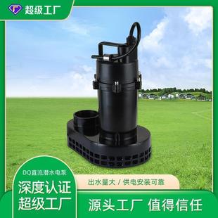 工厂直发大流量1.2寸直流无刷潜水泵户外农田浇灌24V电动车抽水泵