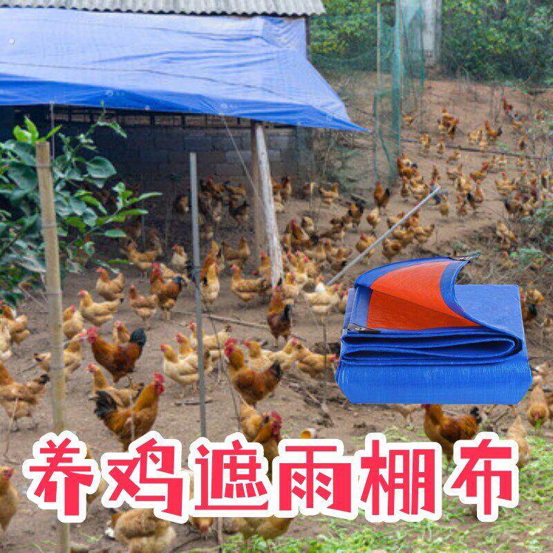 户外养鸡棚防雨布遮雨这蔗放水防晒篷布放盖养殖舍厂场油布防帆布