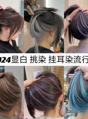 挑染挂耳染发剂发尾染渐白金色亚麻灰粉色蓝黑显白2024流行色植物
