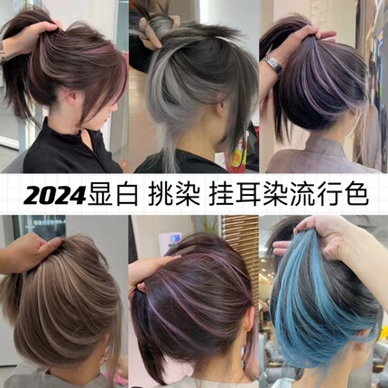 挑染挂耳染发剂发尾染渐白金色亚麻灰粉色蓝黑显白2024流行色植物