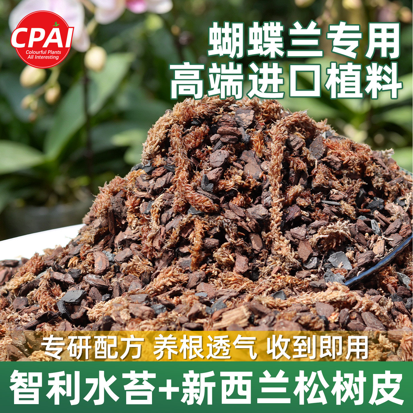 蝴蝶兰专用土新西兰进口松树皮智利水苔混合型营养植料君子兰通用