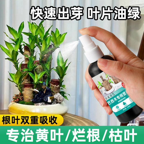巴西木营养液促爆芽防黄叶喷剂型