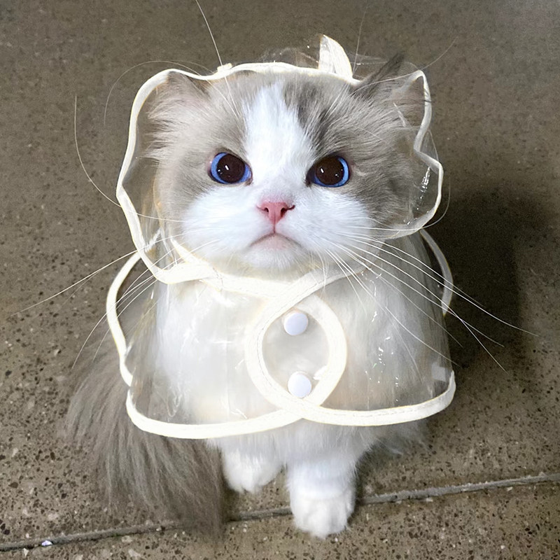 猫咪雨衣宠物雨衣雨帽全包斗篷
