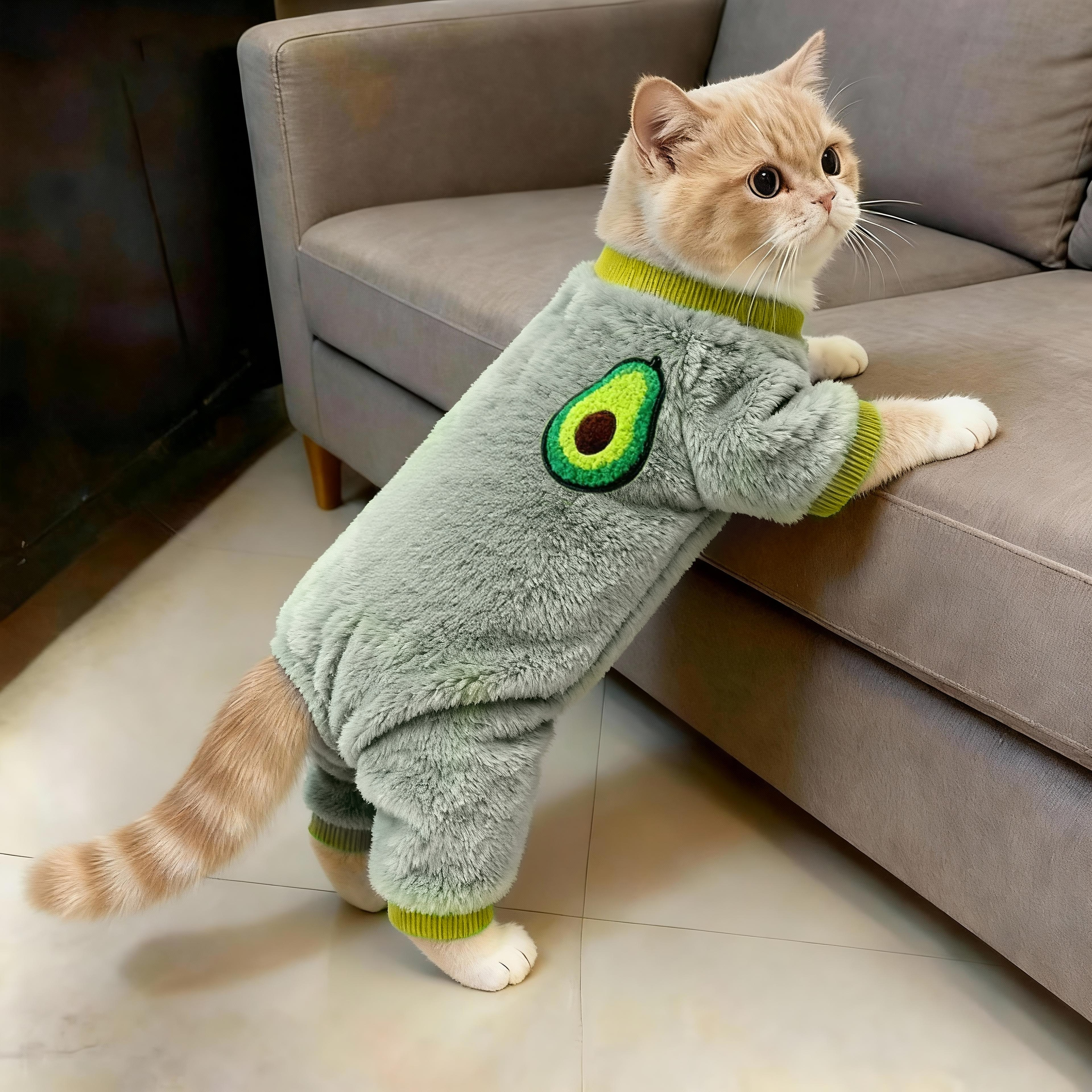 猫咪秋冬季睡衣四脚衣金渐层保暖