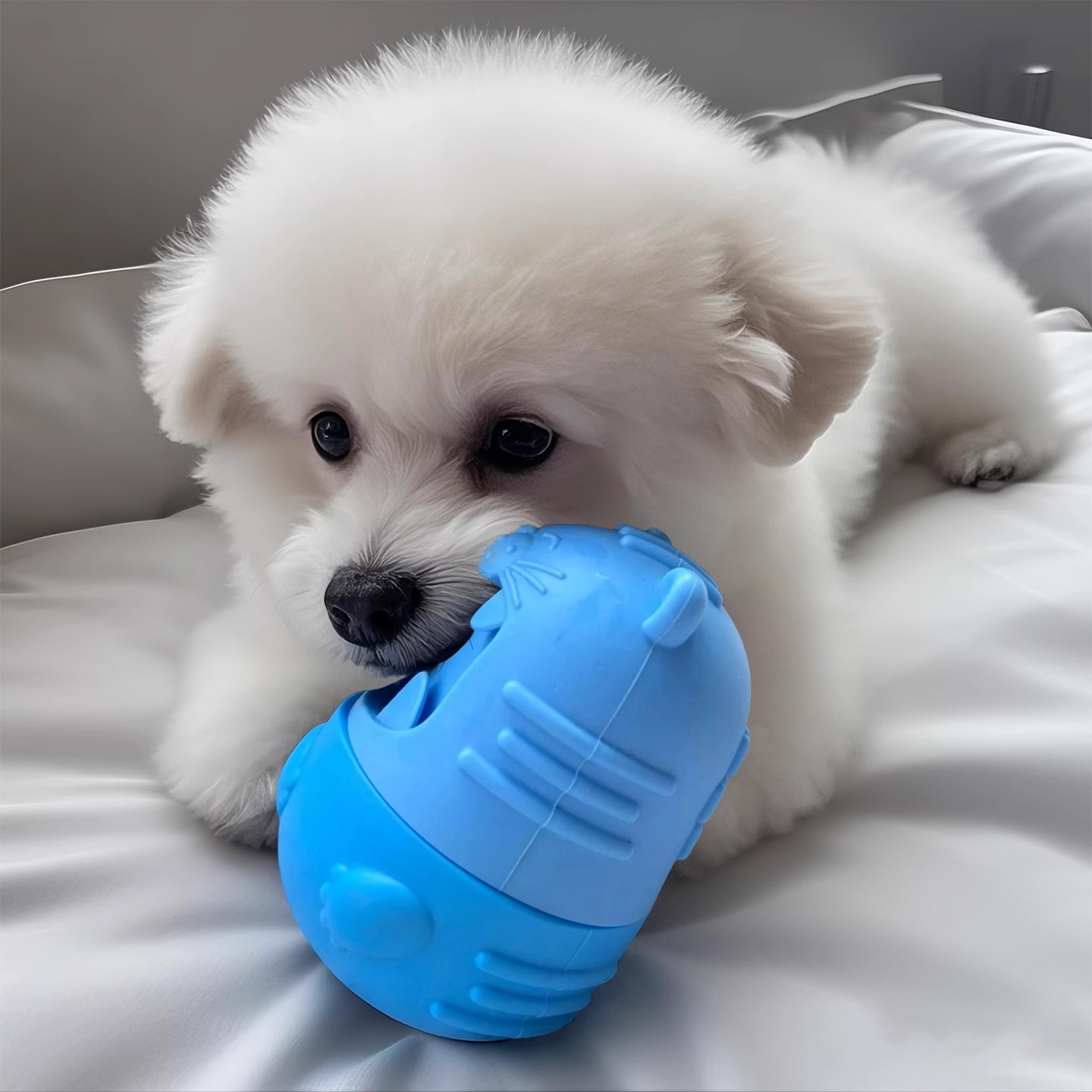 狗狗漏食玩具幼犬耐咬磨牙耐抓咬