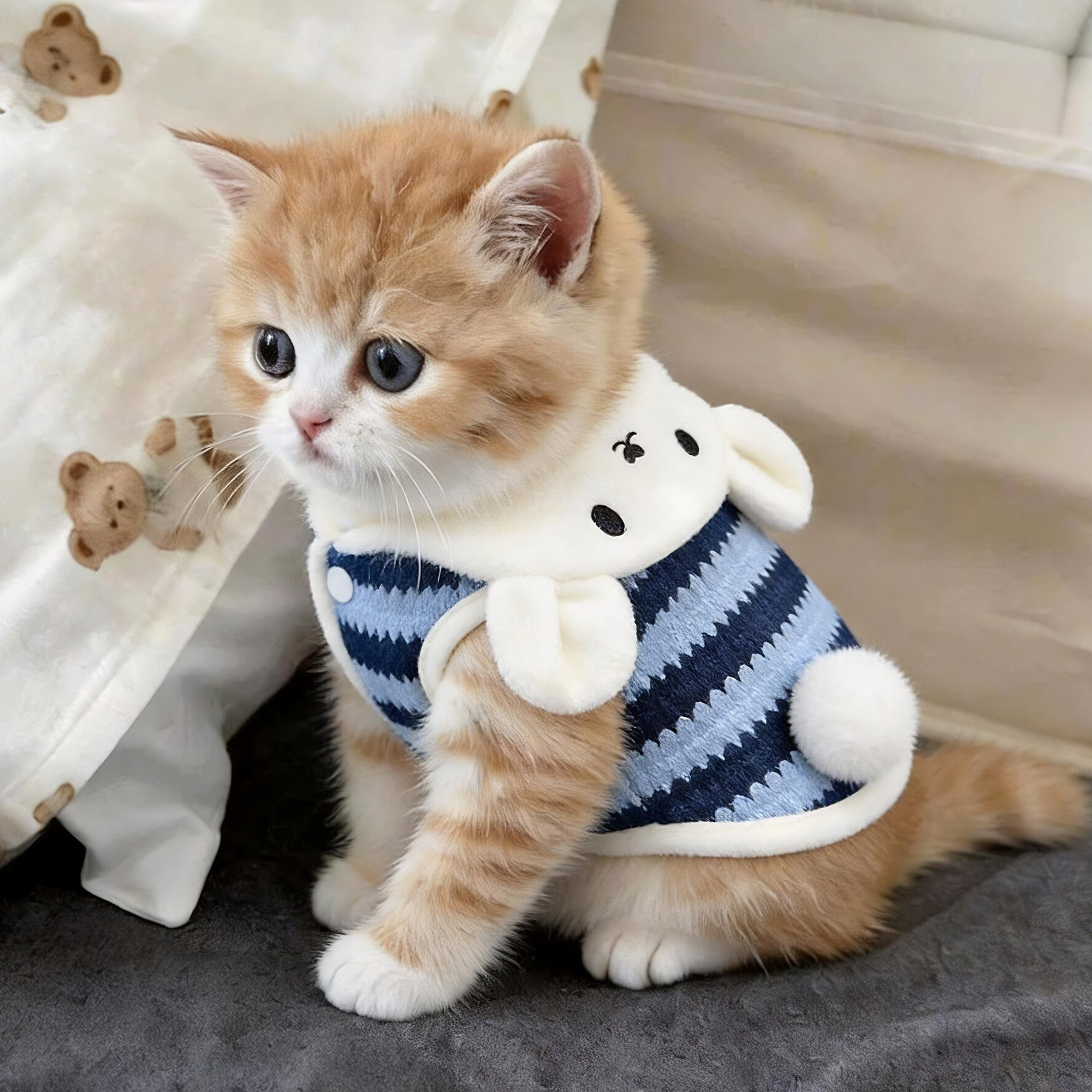 猫咪衣服秋冬款条纹小兔绒衣布偶英短金渐层小型犬宠物服饰可牵引