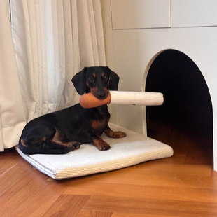 宠物玩具狗狗互动型磨牙耐咬仿真香烟宠物训练耐啃咬自嗨解闷神器