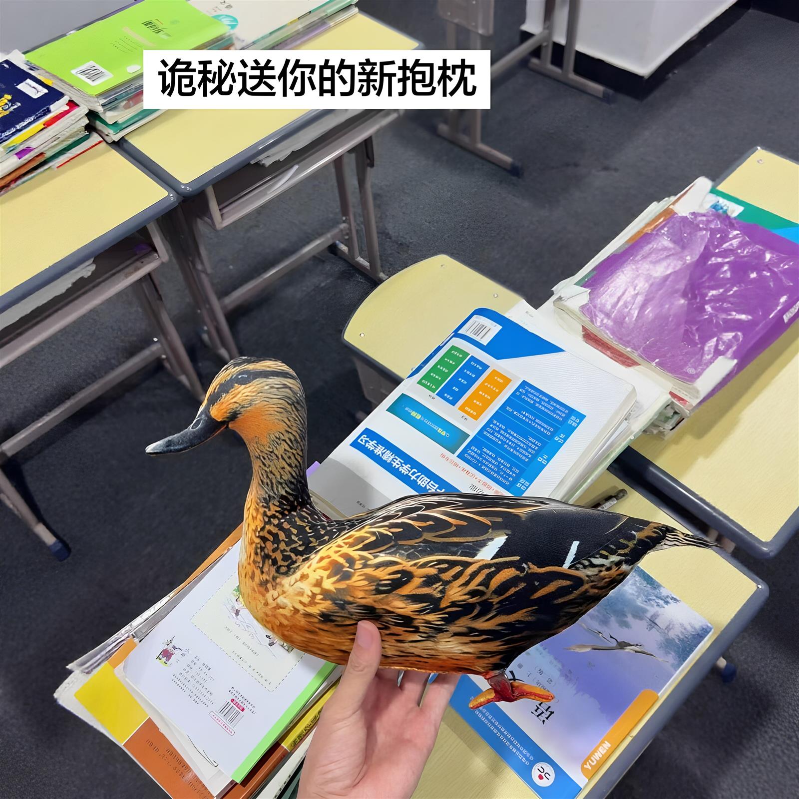 玩偶靠垫真鸭子抱枕2026新款抽象图片
