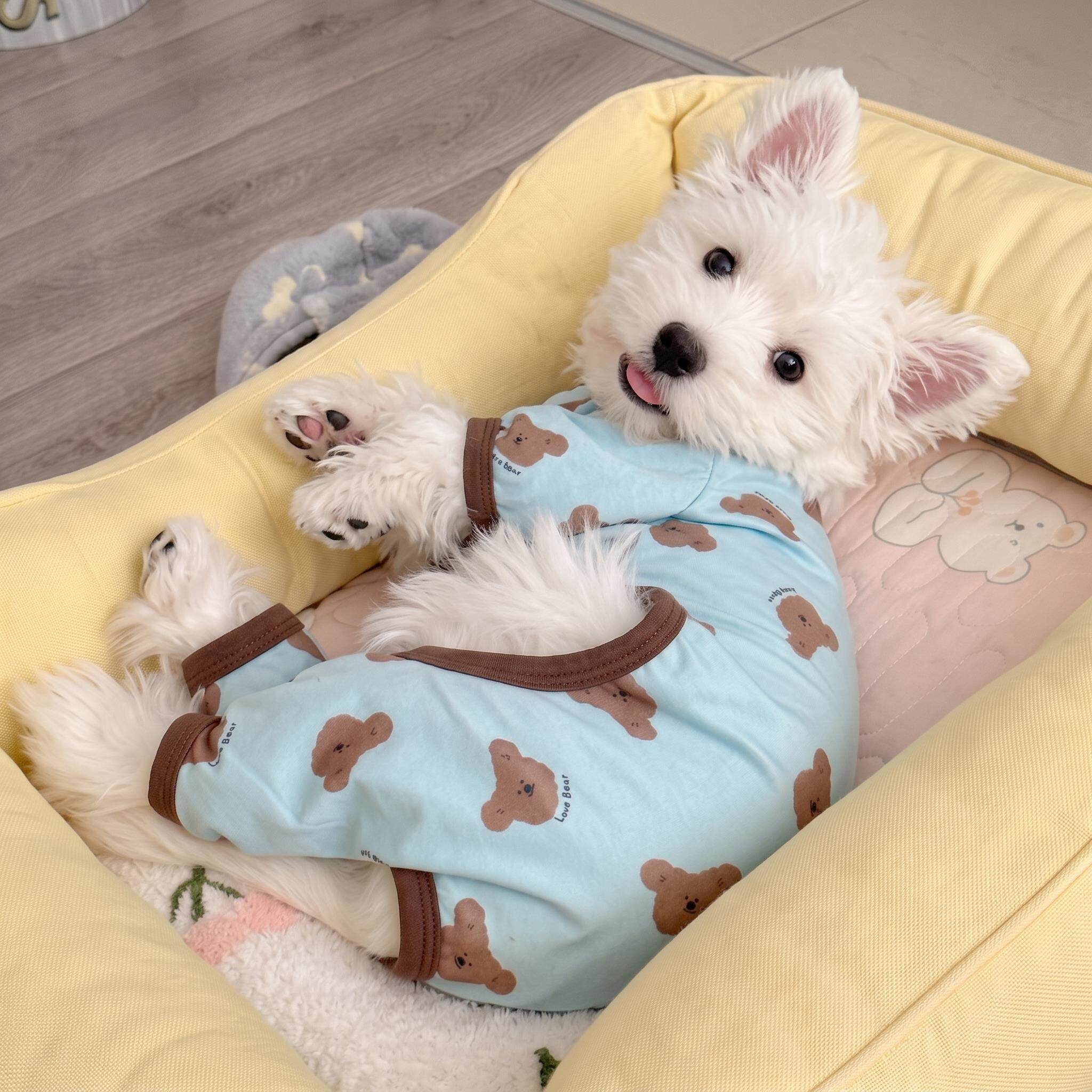 狗狗纯棉打底衫家居服保暖睡衣小中型犬四脚衣防掉毛泰迪比熊博美
