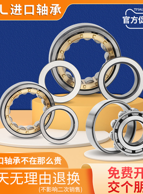 日本GAL进口圆柱滚子轴承NUP2204 NUP2205 NUP2206 NUP2207EM