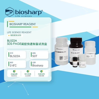 白鲨BiosharpBL522A SDS-PAGE凝胶快速制备试剂盒