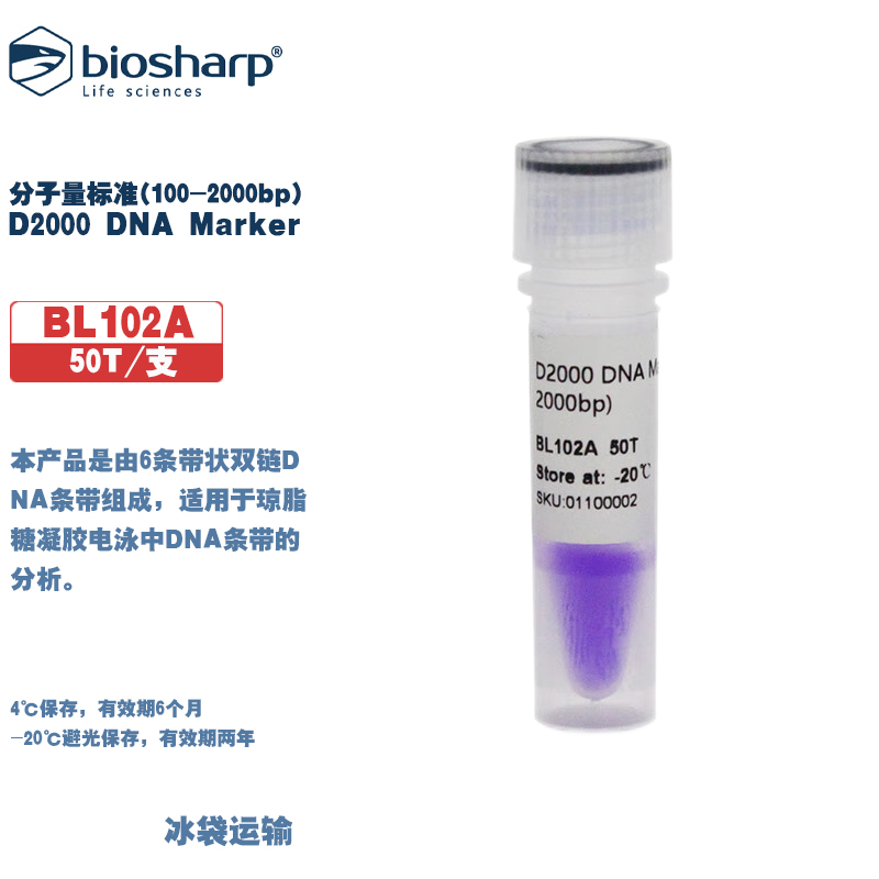 琼脂糖凝胶电泳生物化学试剂