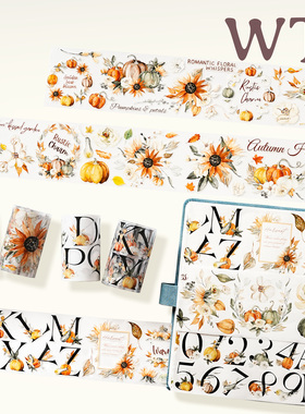 WT原创胶带 晚秋集 向晚秋日录 秋季秋日手帐胶带和纸PET模切INS