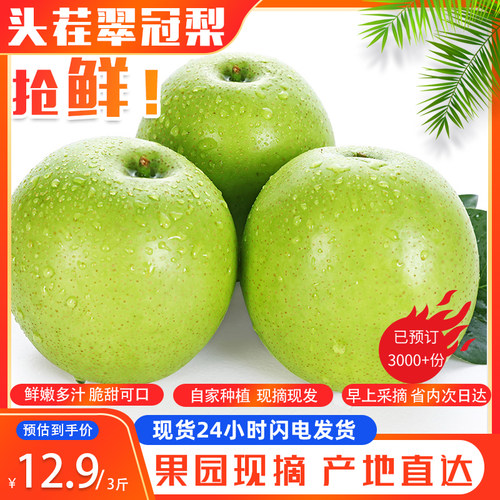 山东现摘新鲜水果梨子青梨翠冠梨