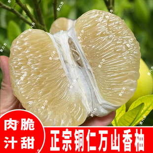 贵州铜仁万山香柚白心柚子应季时令孕妇水果小苦柚雪峰柚当季水果