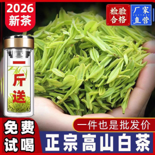【送杯子】2026新茶嫩芽白茶正宗高山毛尖绿茶500g浓香型嫩芽送礼