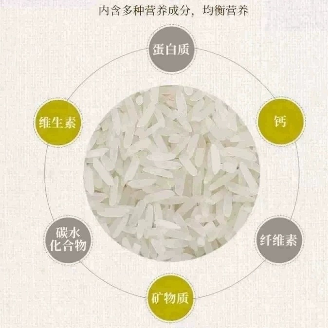 广州增城丝苗米煲仔饭专用新大米软香正宗广东特产500g真空装籼米