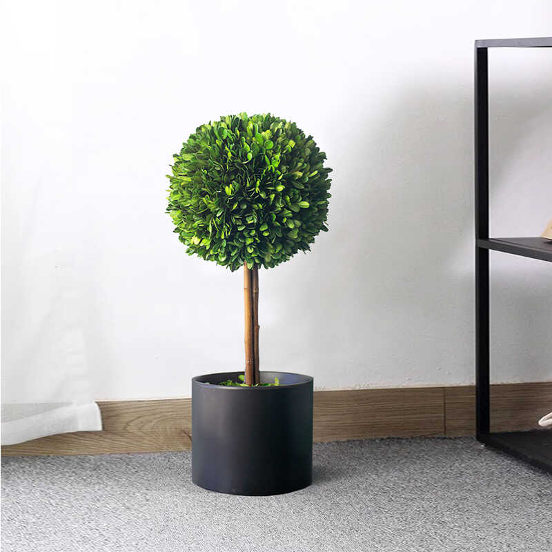 北欧室内四季好养植物客厅落地绿植装饰品摆件办公室地面球形盆栽