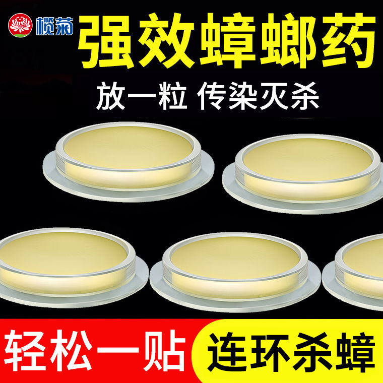 榄菊方便贴全窝端小强药杀蟑饵剂