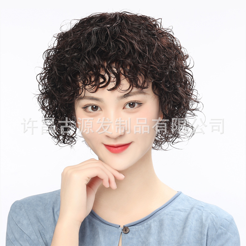 假发头套 短发女全头套真人发丝满头卷中老年发套真人发 假发