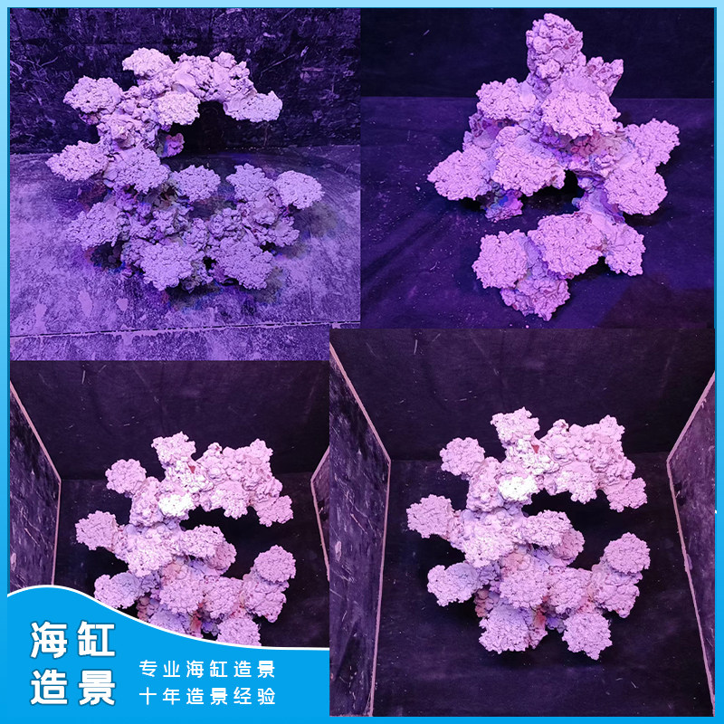 海缸造景非活石造景人造石造景死石造景教开缸教养水网红同款造景
