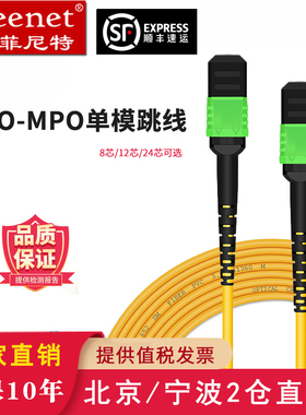Pheenet菲尼特 MPO8芯单模万兆40G 100G  400G12芯 24芯MTP光纤机房交换机光模块跳线