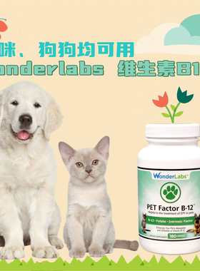 猫咪狗狗狗子宠物叶酸维生素B12神经炎