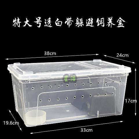 特大饲养盒乌龟爬宠箱蚕宝宝蜘蛛角蛙守宫盒蜥蜴宠物蛇昆虫乌龟缸