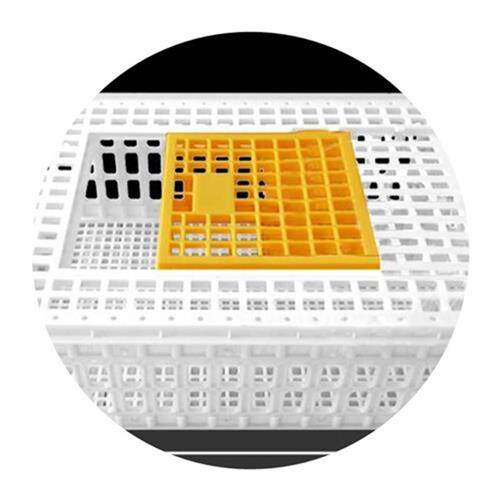 养殖周转筐运输笼家禽鸡笼子家z用E塑料笼塑料筐周转箱运鸡笼塑料