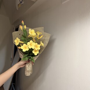 春日限定永不凋谢的黄婵花扭扭棒花束手工DIY材料包花艺家居装饰