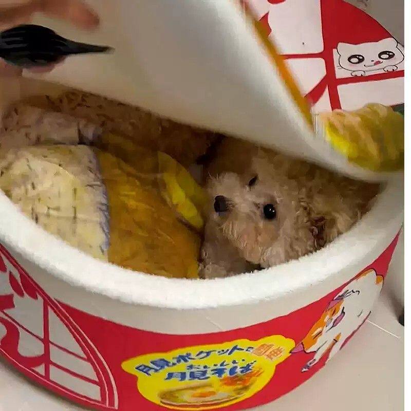 泡面桶猫窝方便面狗窝冬季保暖封闭式安全感加绒加厚可拆洗猫床