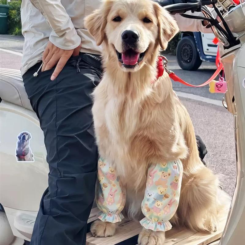 金毛护肘衣柯基柴犬宠物用关节保护套中大型犬护膝防舔防磨保护套