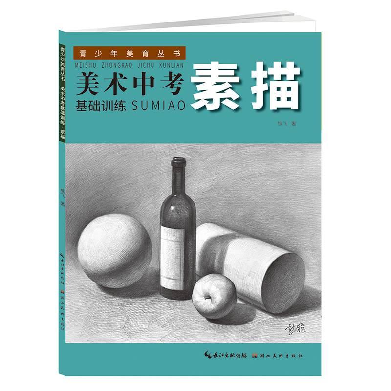 美术中考基础训练-素描 素描书入门自学教材书籍绘画书结构素描几何体