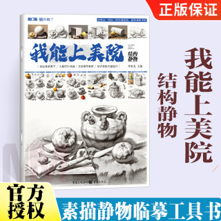 我能上美院结构静物 画画入门自学零基础素描教材头像人物几何体色彩静物组合速写临摹书初学者绘画教程书籍敲门砖美术生专用书