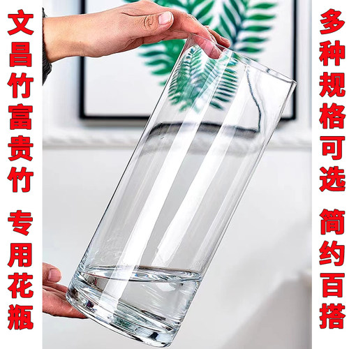 透明玻璃瓶富贵竹水养水培龙竹