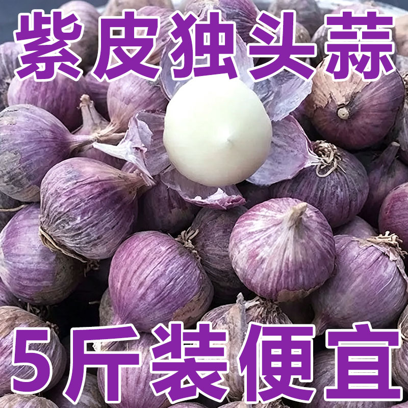 【产地直发】2026年新蒜紫皮独头蒜农家爆香小香蒜大蒜头干蒜独蒜