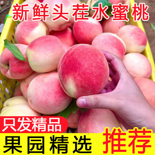 现货新鲜水蜜桃5斤桃子自种水果整箱时令毛桃子蜜红大果脆甜可口