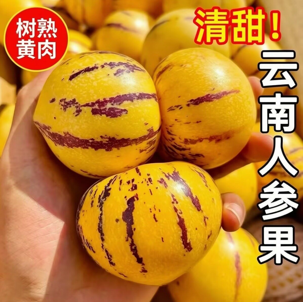 云南人参果水果圆果黄肉大果新鲜石林人叁果树上熟人生果整箱包邮