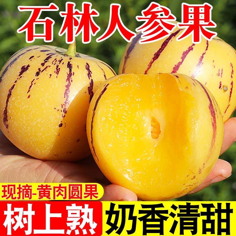 云南石林人参果新鲜水果树上熟5斤大果黄肉果10斤当季整箱包邮