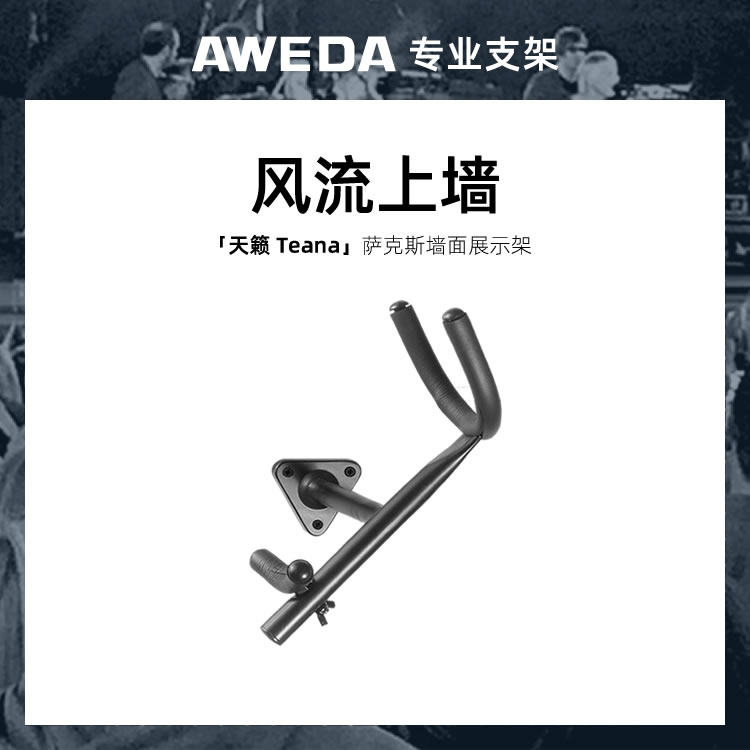 AWEDA Teana 安伟达 天籁 次中音/中音 萨克斯槽板挂钩墙面展示架