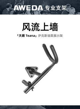 AWEDA Teana 安伟达 天籁 次中音/中音 萨克斯槽板挂钩墙面展示架