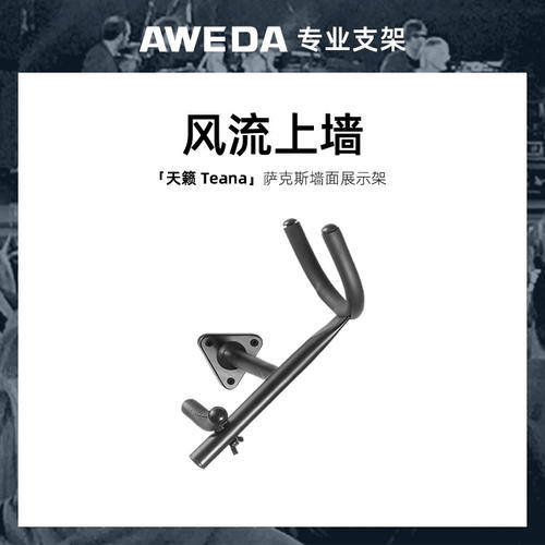AWEDA Teana 安伟达 天籁 次中音/中音 萨克斯槽板挂钩墙面展示架