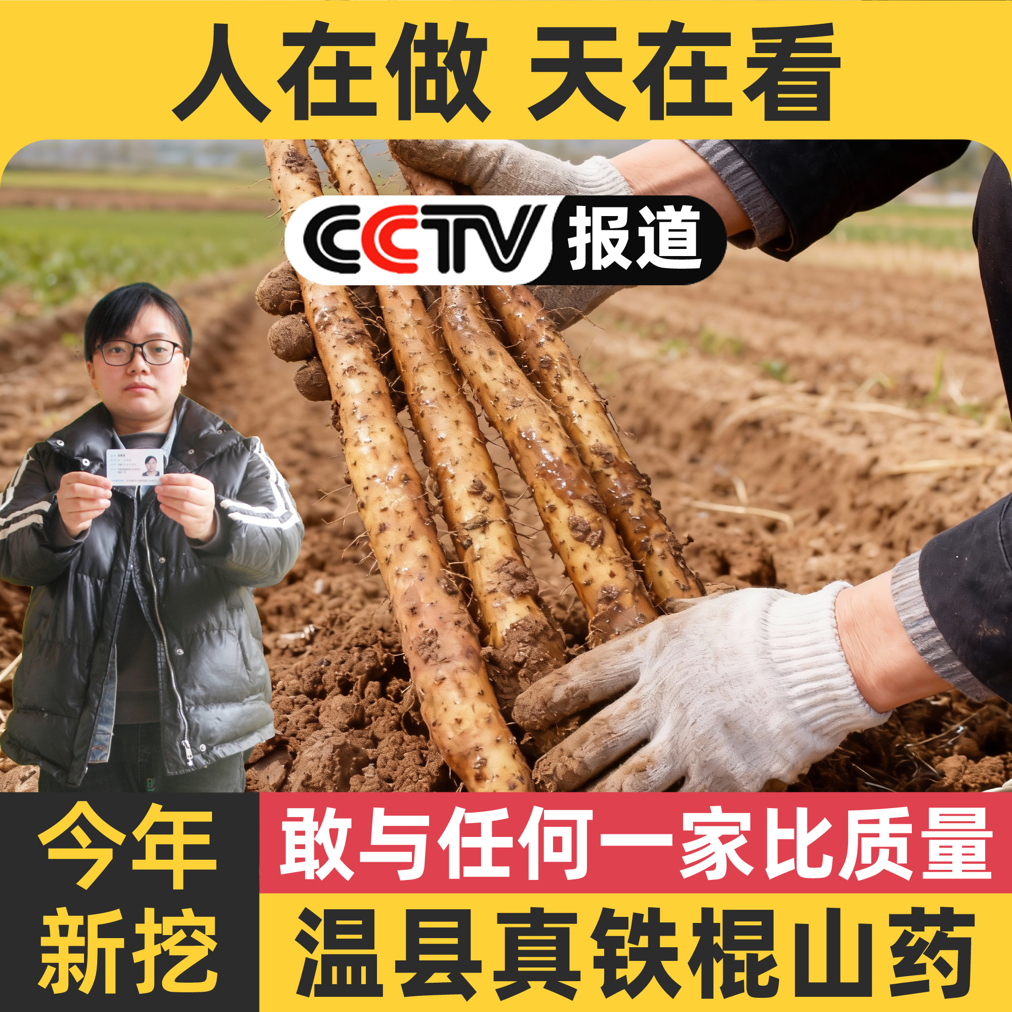 正宗河南焦作温县怀山药新鲜5斤垆土铁棍山药官方旗舰店铁杆淮山