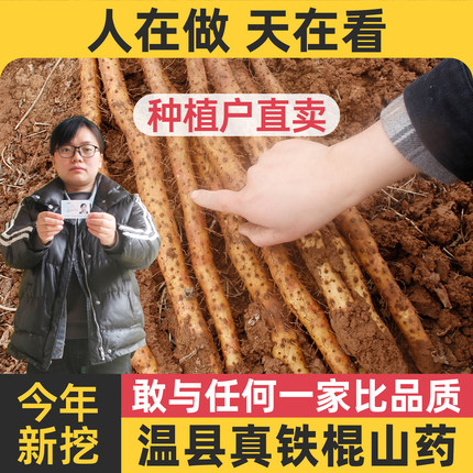 正宗河南焦作温县垆土铁棍铁杆淮山怀山药新鲜5斤特产整箱准铁桂