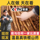 正宗河南焦作温县垆土铁棍铁杆淮山怀山药新鲜5斤特产整箱准铁桂