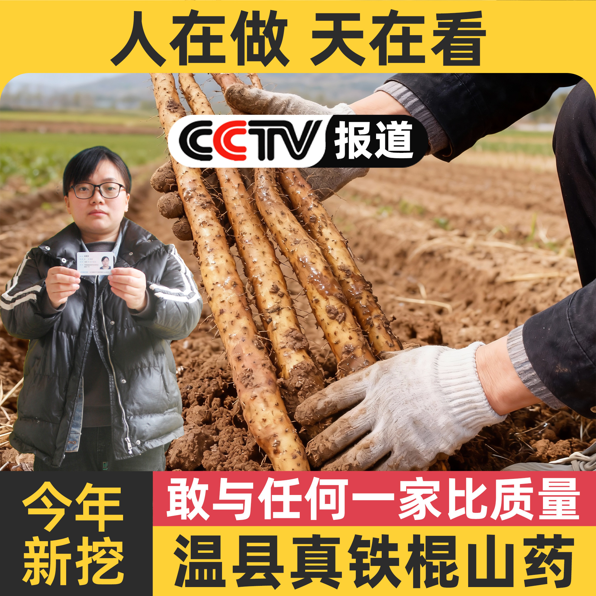 正宗河南焦作温县怀山药新鲜5斤垆土铁棍山药官方旗舰店铁杆淮山