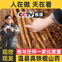 正宗河南焦作温县垆土铁棍铁杆淮山怀山药新鲜5斤特产整箱准铁桂