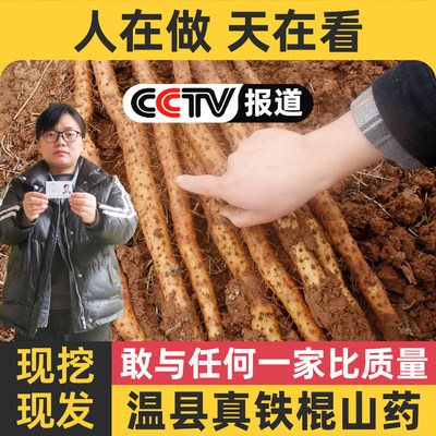 正宗河南焦作温县垆土铁棍怀山药