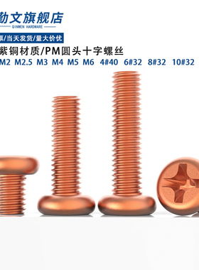 T2紫铜美制圆头十字螺丝 PM铜十字槽盘头螺栓机牙螺钉国标M2~M5M6